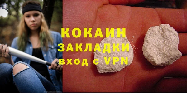 шишки Володарск