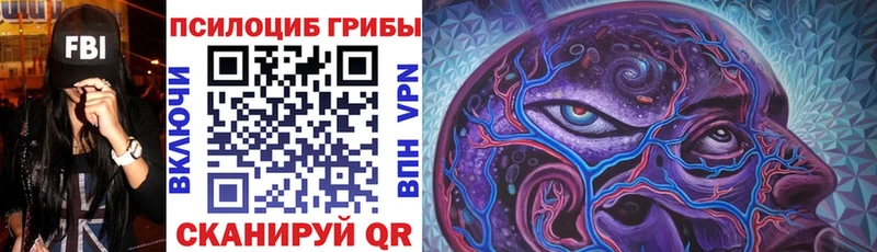 купить  цена  Вышний Волочёк  Псилоцибиновые грибы Cubensis 